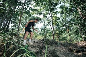 BIB: 
                            <button type="button" onclick="openModal(25762777)" class="btn btn-primary btn-sm float-right btn-popup" data-toggle="modal" data-target=".modal-high-quality">
                        <i class="fas fa-shopping-cart"></i> Add to Cart
                    </button>
                                            <button type="button" onclick="isThisMe(25762777, true)" class="btn btn-success btn-sm float-right btn-popup btn-isme hidden" data-toggle="tooltip" data-placement="bottom" title="นี่คือรูปของคุณใช่ไหม คลิกที่นี่เพื่อเอาเข้าอัลบั้ม">
                        <i class="fas fa-plus"></i> Add to album
                    </button>
                    <button type="button" onclick="isThisMe(25762777, false)" class="btn btn-warning btn-sm float-right btn-popup btn-isnotme hidden">
                        <i class="fas fa-ban"></i> Remove from album
                    </button>